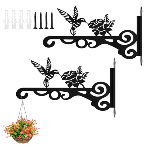 AYESY Staffa per Piante da Parete, 2 Parete Fiori Cesto Appeso Supporto in Ferro Battuto, Ganci Appendiabiti da Parete per Piante con 4 Viti e Tubo di Espansione per Vasi di Fiori Lanterne Mangiatoie