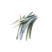 Lunker City- Señuelo Slug-go, 10 Por Bolsa - 60110, Alewife