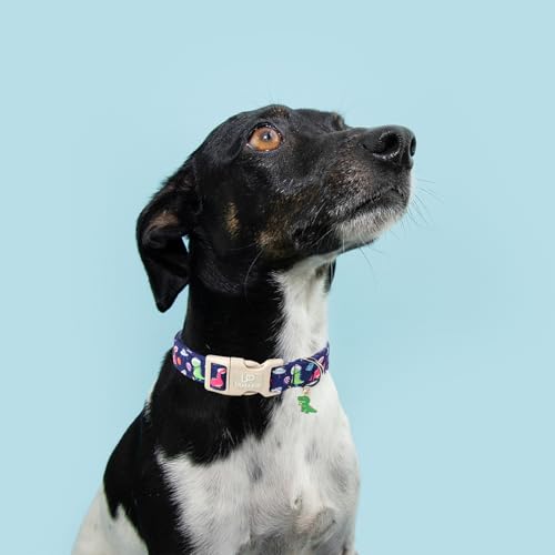 Image of Summer Dog Collar-Dinosaur Dog Collars with Planet-Cute Blue Summer Pet Dollar-Soft, Adjustable & Stylish for Small /Medium Dogs