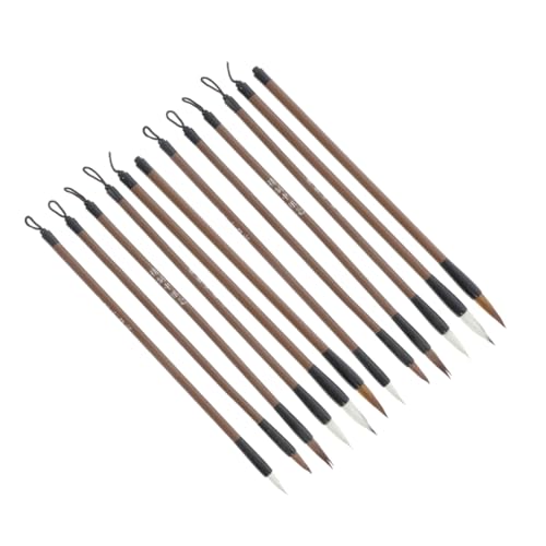 HEMOTON 12Pcs Calligraphy Brush Set Versatile Ink Painting Brushes for Students for Home School Art Classes for Calligraphy Practice Skill Enhancement