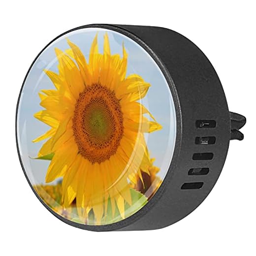BestIdeas 2 st ventilationsklämmor bil luftfräschare med solros gul växt vilda fält, aromaterapi eterisk oljediffusor