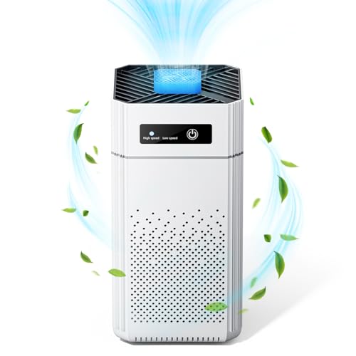 WildFun Purificador de Aire para Dormitorio Hogar Silencioso Filtro Limpiador HEPA para Dormir Mejor, Purificador de Aire, Alergias, Polvo, Caspa de Mascotas, Olores, Humo Cocina y Oficina
