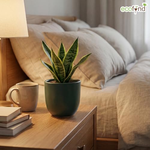 Image of ecofynd 5 Inch Ceramic Plant Pots with Drainage Hole, Modern Decorative Clay Flower Pots for Indoor Plants, Home Garden Decor for Living Room, Bedroom & Interior Spaces (CPOT041-DGN)