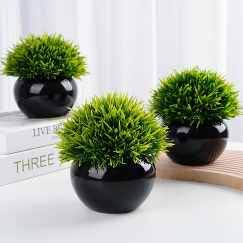 ASHELYULLA Small Fake Plants Indoor, Set of 3 Faux Plant in Pots Artificial Plants for Shelf Desk Decor Artificial Grass with Black Ceramic Vases for Living Room Bathroom Office Tabletop Decoration
