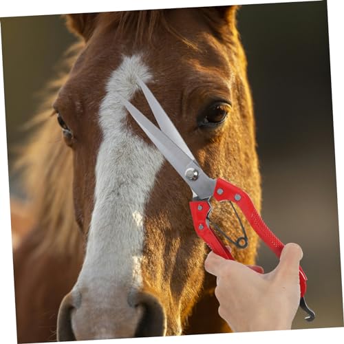 LIOOBO 4 Peças Tesoura De Barbear Tesoura De Pêlos De Cavalo Animal Tesoura De Ovelha De Metal Tesou
