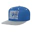 Detroit Lions, Blue