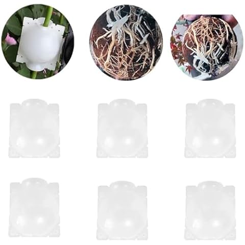 Lot de 6 Boîtes d'Enracinement Gehanico Cover