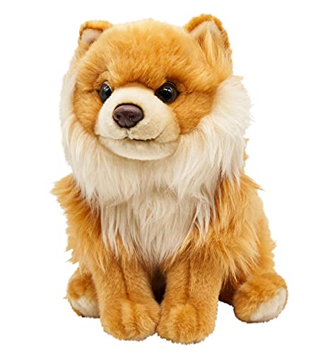 Uni-Toys - Zwergspitz, sitzend - 23 cm (Höhe) - Plüsch-Hund, Spitz, Haustier - Plüschtier, Kuscheltier