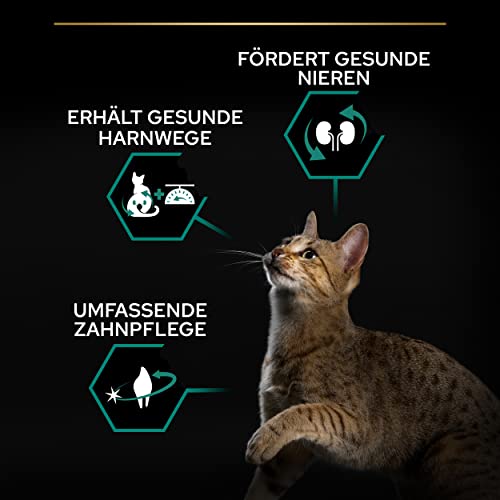 Pro Plan Sterilised Adult 1+ Katzenfutter trocken mit Optirenal, reich an Lachs, 1er Pack (1 x 1,5kg)