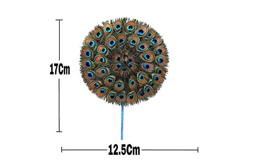 Samariya Pack of 1 Natural Peacock Feather Fan/Mor Pankh for Laddu Gopal/Thakur Ji/Kanha Ji for Puja and Home Decoration Multicolour