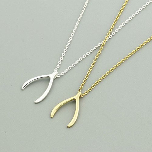 AOCHEE Delicate Lucky Wishbone Pendant Necklace Good Luck Wishbone Necklace 16"3
