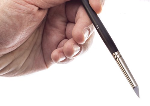 Jerry Q Art 19 Pcs Brush And Color Shaper Set. 14 Golden Nylon Round, Flat, Fan, Filbert Brushes And 5 Silicon Color Shapers. Multimedia Set Jq219 #TOP5