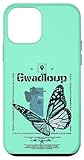 Die Insel Guadeloupe wird in ihrer Form die Schmetterlingsinsel genannt. Entdecken Sie den Archipel von Guadeloupe, ein Schmetterling im Karukera Ozean (