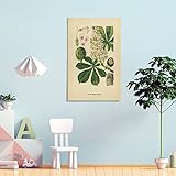 Regale carteles de vegetales retro e impresiones artísticas de plantas a todos los que se preocupan por usted o se preocupan por usted, a modo de bendición. Como una idea de regalo navideña interesante y no tradicional o un recuerdo familiar, este arte también se puede utilizar como regalo de inauguración de la casa, regalo de cumpleaños o símbolo simple para ayudar a crear una atmósfera cálida y armoniosa.