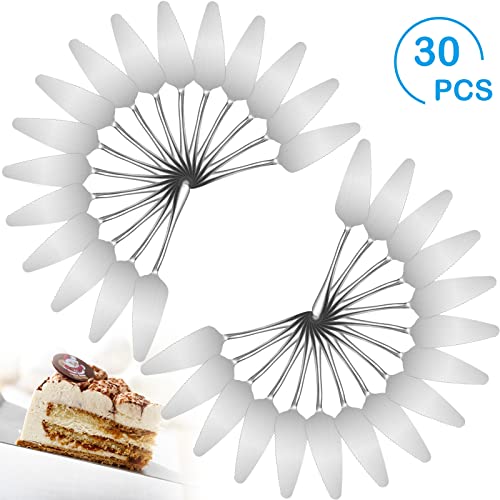 Baderke 30 Pcs Pie Server Stainless Steel Cake Pie Pastry Server Rustic Cake Server Professional Pie Spatula Pie Serving Utensil For Pizza Dessert Cheese Cutting, 9 Inches, Silver #TOP1