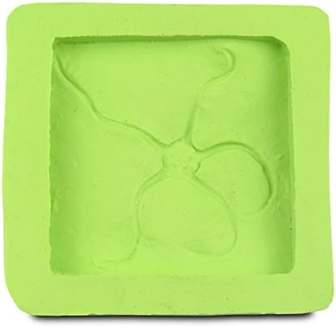 Junior Geo Starfish Fossil Silicone mould for making plaster casts