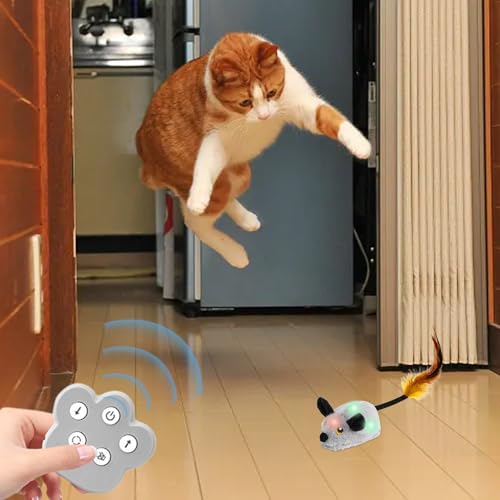 Jouet automatique chat souris peluche interactive télécommandée contre l'ennui