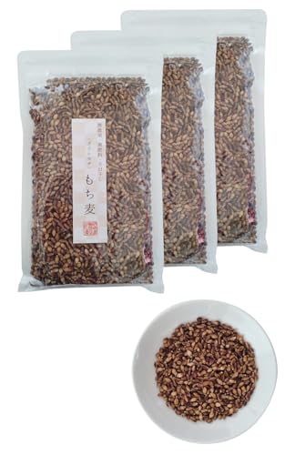 ͈  _CV`  엿 ͔|Ԓ_sgp_ Y R͔| V GĂ (3, REGULAR)