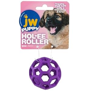 JW Pet Hol-ee Roller Original Do It All Dog Toy Puzzle Ball, Natural Rubber, Assorted Colors, Mini