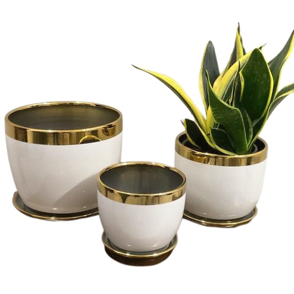 Garden Art White Plant Pots Set of 3,Indoor Ceramic Flower Pot with