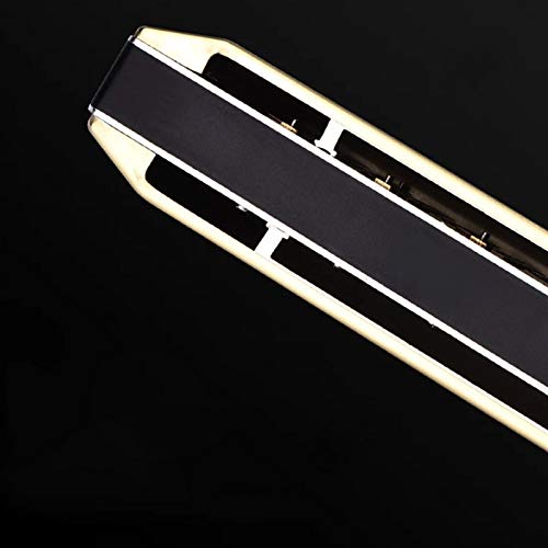 KIRANDIE Chromatic Harmonica 12 16 Trous Bouche d’organes clés de Instrumentos C Phosphor Bronze Reeds Instruments de… - Les Beatles, Paul McCartney, John Lennon, RIngo Starr, George Harrison KIRANDIE Chromatic Harmonica 12 16 Trous Bouche d'organes clés de Instrumentos C Phosphor Bronze Reeds Instruments de… – Image 8