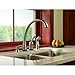 Delta Faucet Pilar Kitchen Soap Dispenser for Kitchen Sinks, Chrome RP50781
