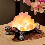 Runyangshi Natural Rose Quartz Turtle Night Lamp Healing Crystal Bedroom Bedside Table Lamp USB Port Home Decor Women Men Gift
