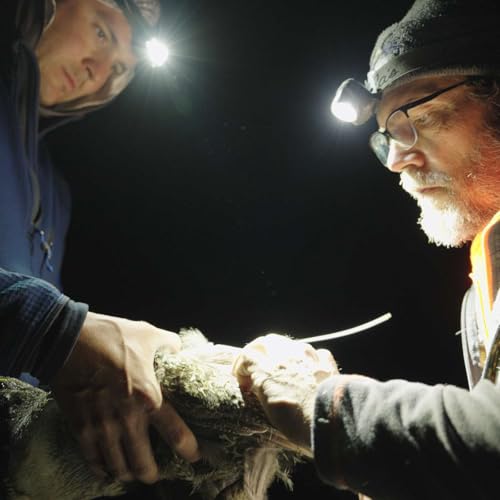 『Dead Birds Flying — and the Science of Second Chances with Dr Christian Hagen』のカバーアート