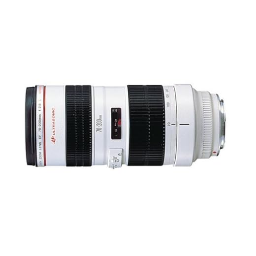 Canon EF 70-200mm f/2.8L Telephoto Lens