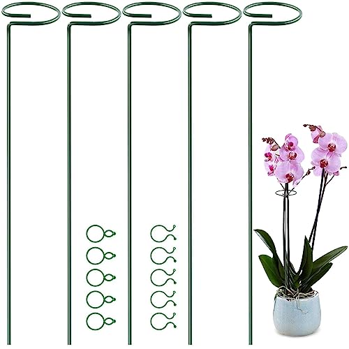 5 Pack 35 inch 90 cm Plant Support Stakes