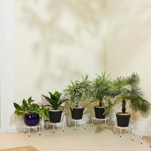Image of Amazon Brand - Solimo Metal Flower Pot Stand (White, Set of 10, Round) | Gamla Stand for Home | Plant Stand for Balcony | Premium Flower Pot Stand | Plant Stand for Living Room