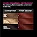 Garnier Hair Color Olia Ammonia-Free Brilliant Color Oil-Rich Permanent Hair Dye, 6.60 Light Intense Auburn, 2 Count (Packaging May Vary)