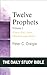 Twelve Prophets, Volume 1 (The Daily Study Bible Series)