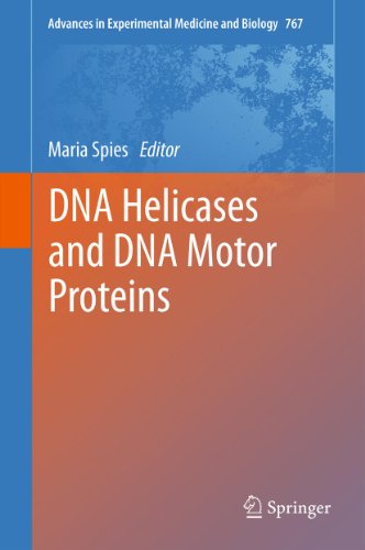 DNA Helicases and DNA Motor Proteins (Advances in Experimental Medicine and Biology Book 767) (English Edition)