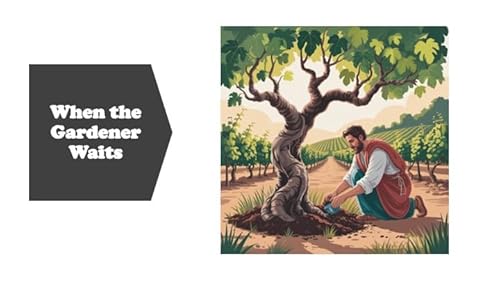 『Episode 1273: When the Gardener Waits』のカバーアート