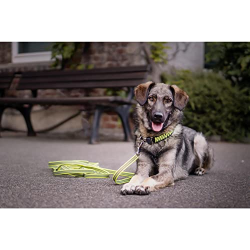 Sprenger Hundehalsband aus stabilem Paracord Nylon mit Edelstahl Clic Lock Verschluss I Wasserabweisende Halskette, reflektierend, langlebig 45 cm, gelb