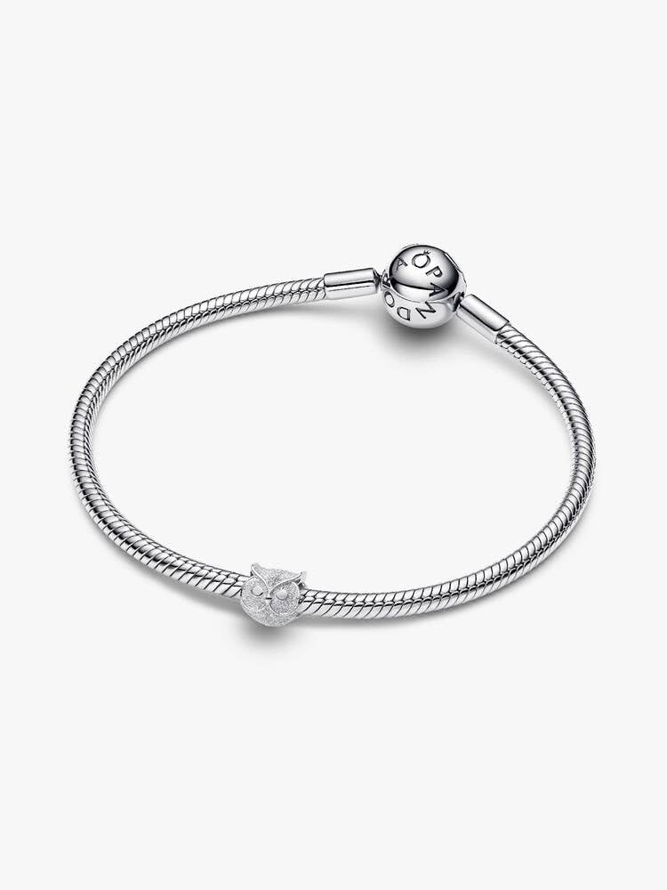 Pandora Moments 794525C00 Mini breloque en Forme de Chouette texturée en Argent Sterling