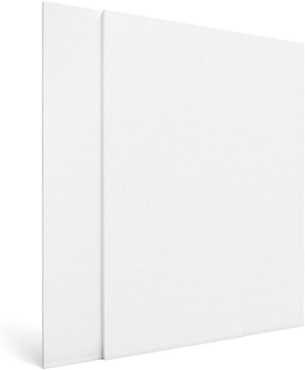 Artist Canvas Panel Boards 20x20cm for Students 4pcs
