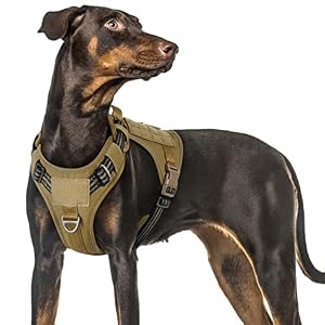 Rabbitgoo Tactical Dog Harness for Medium Large Small Dogs No Pull Service Dog Vest Harness Soft Handle Reflective Escape Proof Military Dog Vest Harness for Puppy Pitbull Bulldog Big Dog