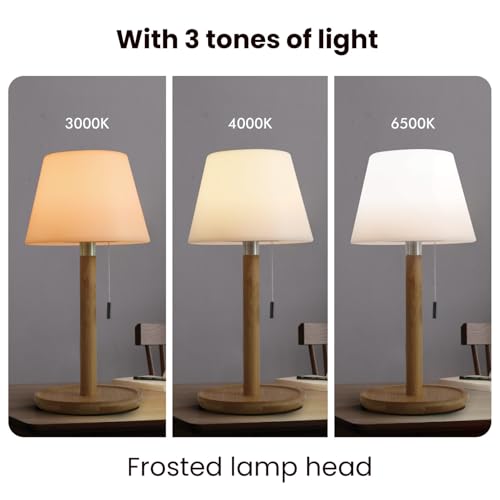 Image of Rechargeable Table Lamp with Pull Chain Switch | 3-Tone LED Light | USB-C Powered, Elegant Home Decoration Items for Living Room & Bedroom | Gift for Woman & Wife | Bellara