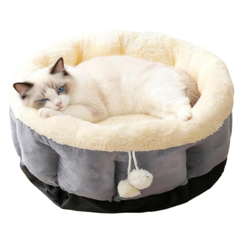 Cama para gatitos cómoda ideal para el balcón o salón de tu apartamento 2