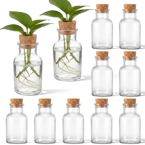 Acellegic 12 Pack Glass Plant Propagation Stations, Hydroponic Vases Tabletop
