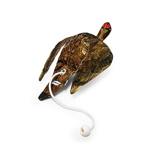 The Original Clone® Realistic Game Bird Dog Training Dummy - Canvas Dummy with HD Feather Print for Gundog & Puppy Training - Dog Hunting Equipment (Grouse Dead Bird Dummy)