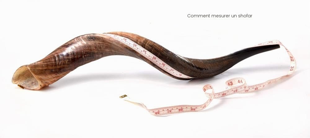 Shofar en corne de koudou yéménite avec spray anti-odeur gratuit, guide shofar israélien (76-81 cm), naturel)