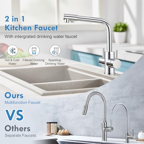 Aktines 4 Wege Küchenarmatur, Doppelhebel Armatur Wasserhahn Küche mit Trinkwasser und Sodawasser Spültischarmatur Spülenarmatur Küche für Wasserfilter und Sprudler Edelstahl, verchromt poliert