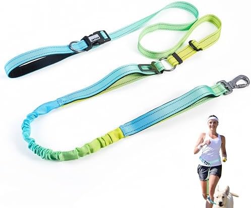 Heavy Duty Hands Free Dog Leash, 5-7 FT Reflective Adjustable Waist Dog Leash Belt with Padded Handles, Shock Absorbing Bungee and Car Seat Belt for Large Medium Dogs (Yellow Blue, XL)