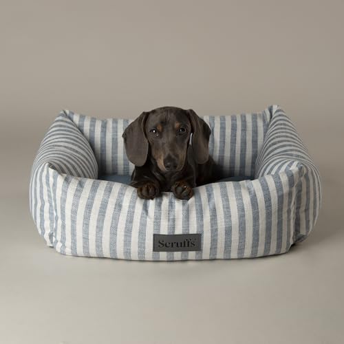 Image of Scruffs Coastal Dog/Pet Box Bed (M)