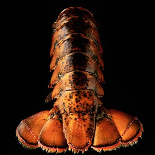 Today Gourmet Foods Of Nc Lobster Tails thumb #3