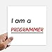 DIYthinker Citazione io sono un programmatore Piazza Adesivi 20cm parete Valigia Laptop Motobike Decal 4 pezzi 20 cm x 20 cm