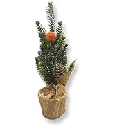 Small manufacture image 11